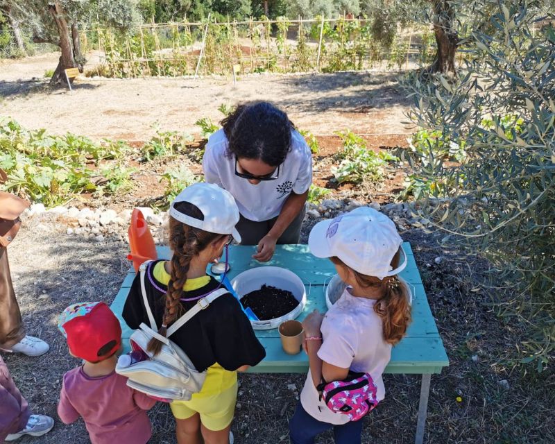 The Olive Oil Experience @ Lefkada Micro Farm - Customer Feedback and Reservations