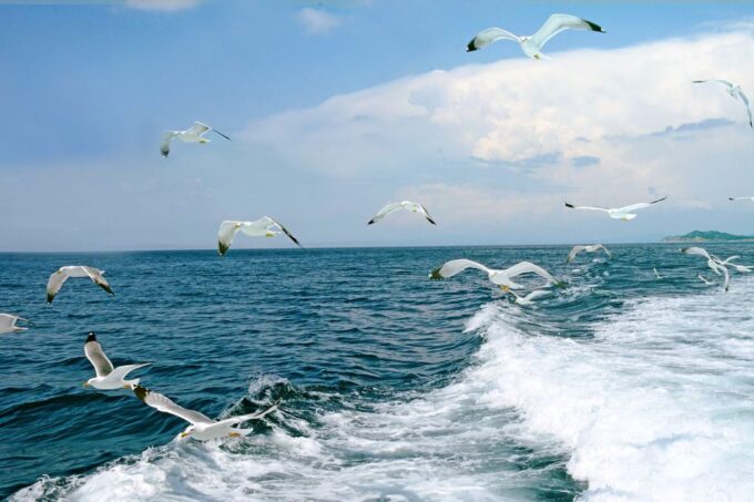 Thessaloniki: Day Trip to Ouranoupoli With Mt. Athos Cruise - Frequently Asked Questions