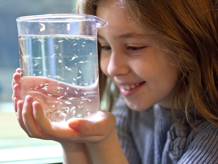 Timmendorfer Strand: SEA LIFE Behind the Scenes Tour - Themed Underwater Worlds