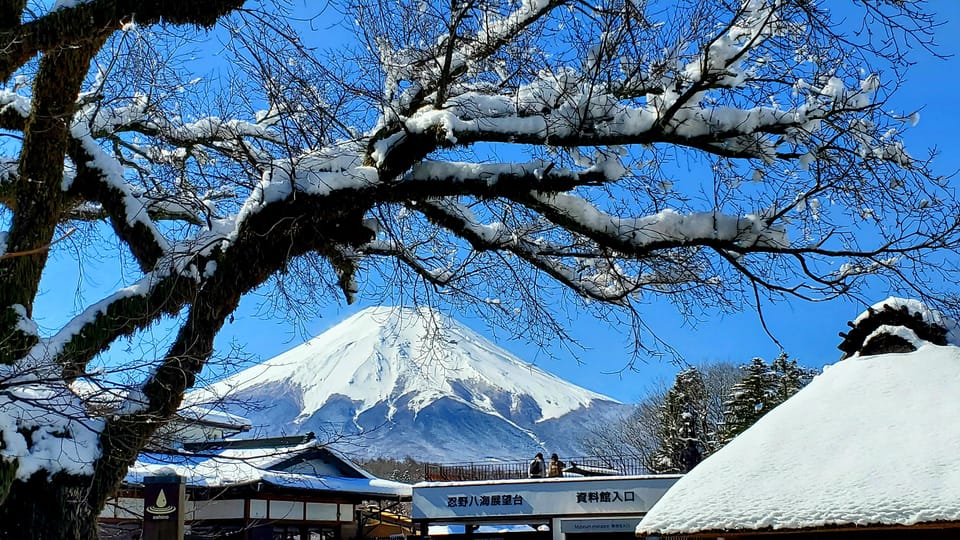 Tokyo and Mt. Fuji + Hakone 2-Days Private Tour - Booking and Cancellation Policies