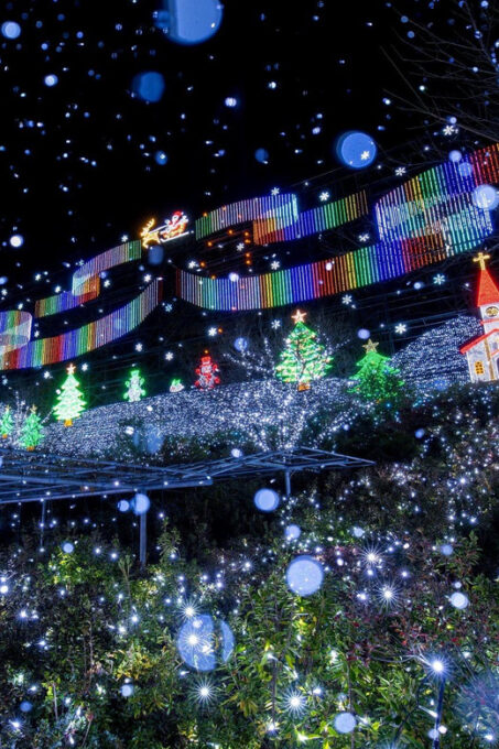 Tokyo: Ashikaga Flower Park With Entry Ticket - Nearby Attractions to Explore