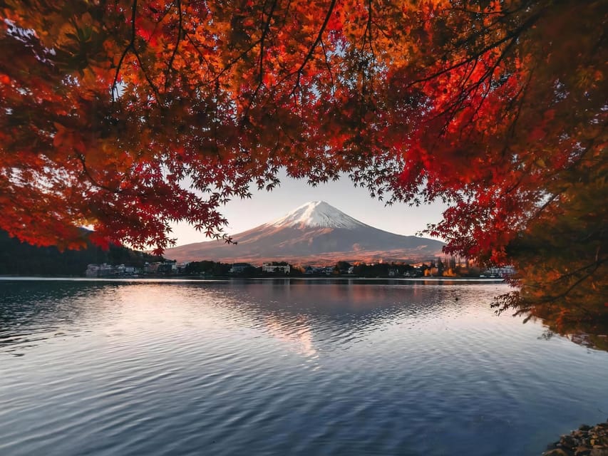 Tokyo: Instagram-Worthy Mt Fuji & Lake Kawaguchiko Day Trip - Recap