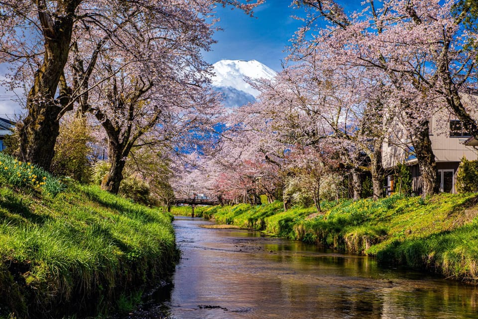 Tokyo: Mt. Fuji, Arakurayama Sengen Park, Oshino Hakkai Tour - Frequently Asked Questions