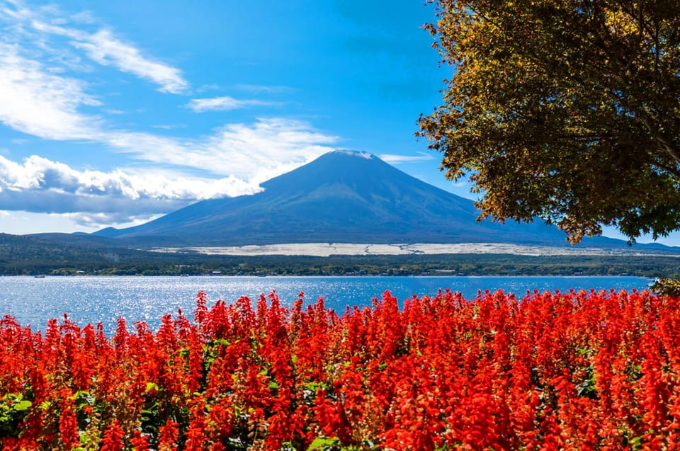 Tokyo: Mt. Fuji, Oshino Hakkai, Kawaguchi Lake 1-Day Trip - Frequently Asked Questions