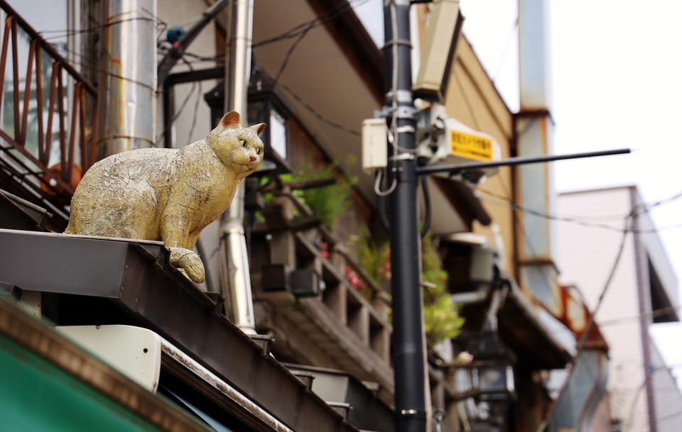 Tokyo Walking Tour of Historic Shopping Streets - Tips for an Enjoyable Tour