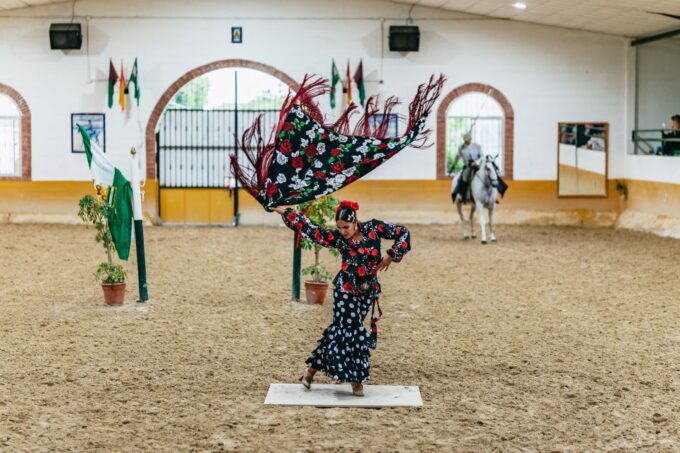 Torremolinos: Horse Show, Dinner Option, Drinks, & Flamenco - Booking and Cancellation Policy