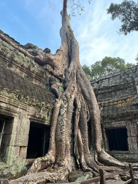 Tour De Friends - Discover Angkor Wat Full Day Bike Tour - Scenic Landscapes and Temples