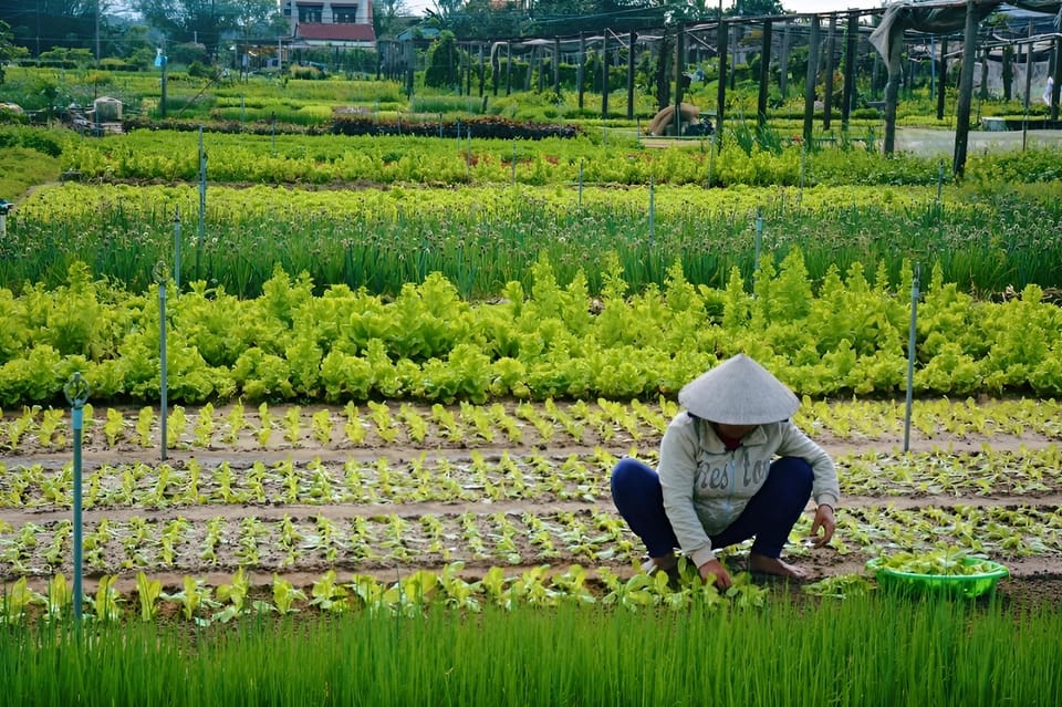 Tra Que Village Vegetable Farm Experience by Bike - Tips for Your Visit