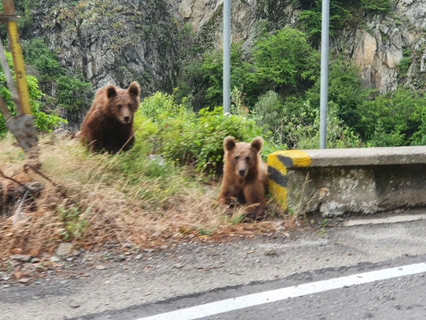 Transfagarasan Highway - Private Day Trip From Bucharest - Frequently Asked Questions