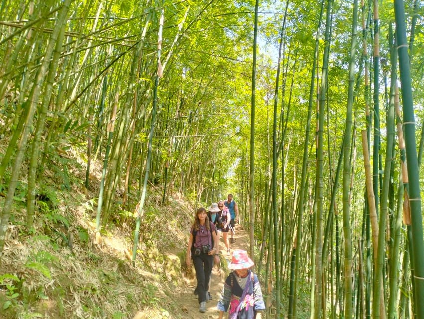 Trek to Local Ethnic Villages & Muong Hoa Valley/Guide/Lunch - Contact for Pickup