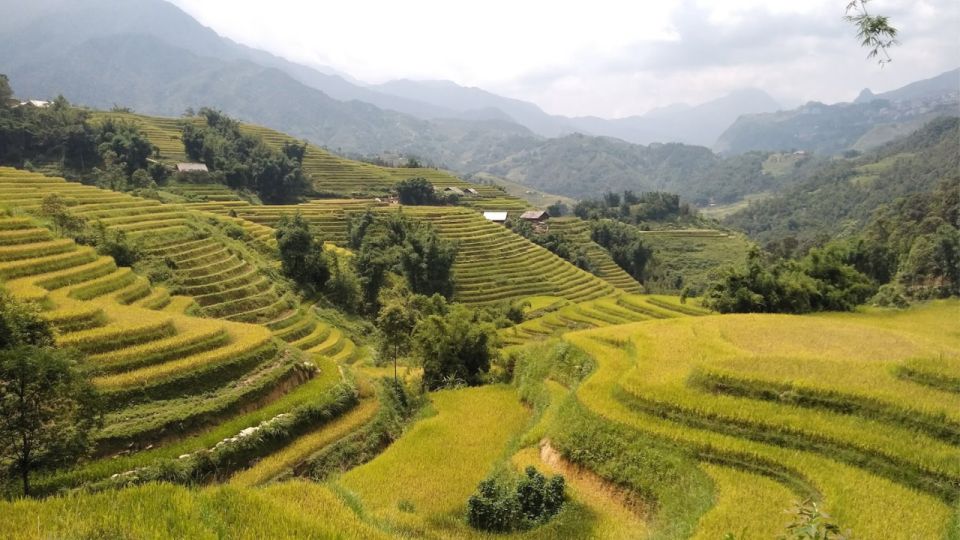 Trekking Through Rice Terraced Fields - Booking Information and Policies