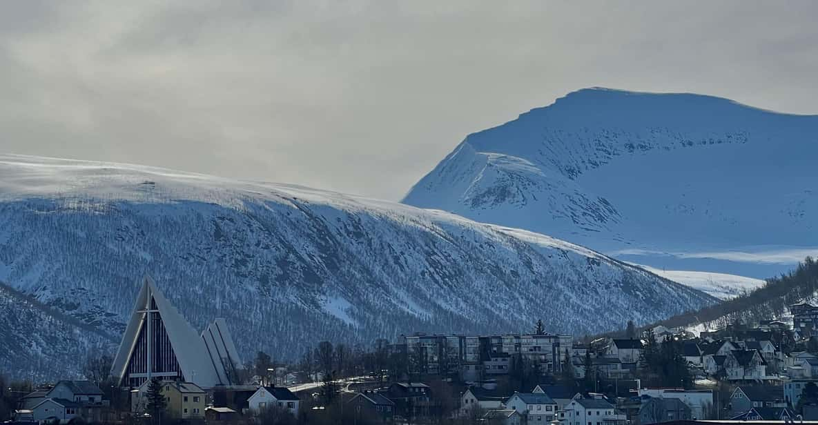 TROMSØ: Explore The City & a Tour Of PolarMuseum (Español) - Tips for Visiting the Polar Museum