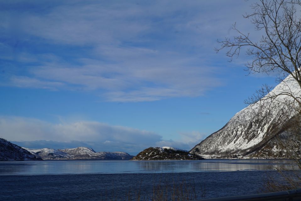 Tromsø: Fjord Sightseeing in a Tesla X Luxury Electric Car - Tips for an Enjoyable Experience