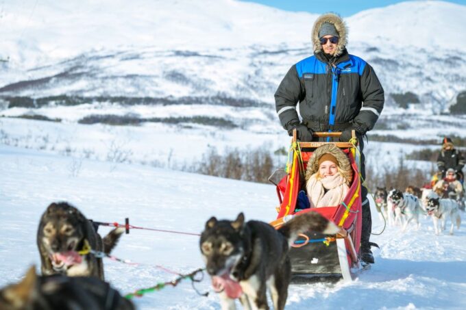 Tromsø: Husky Sled Self-Drive With Traditional Lunch - Nearby Attractions