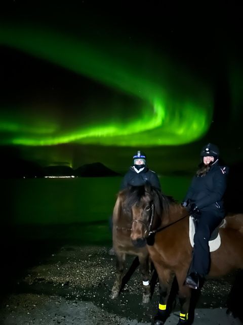 Tromsø: Lyngen Horseback Winter Evening Riding Experience - Preparing for Your Ride