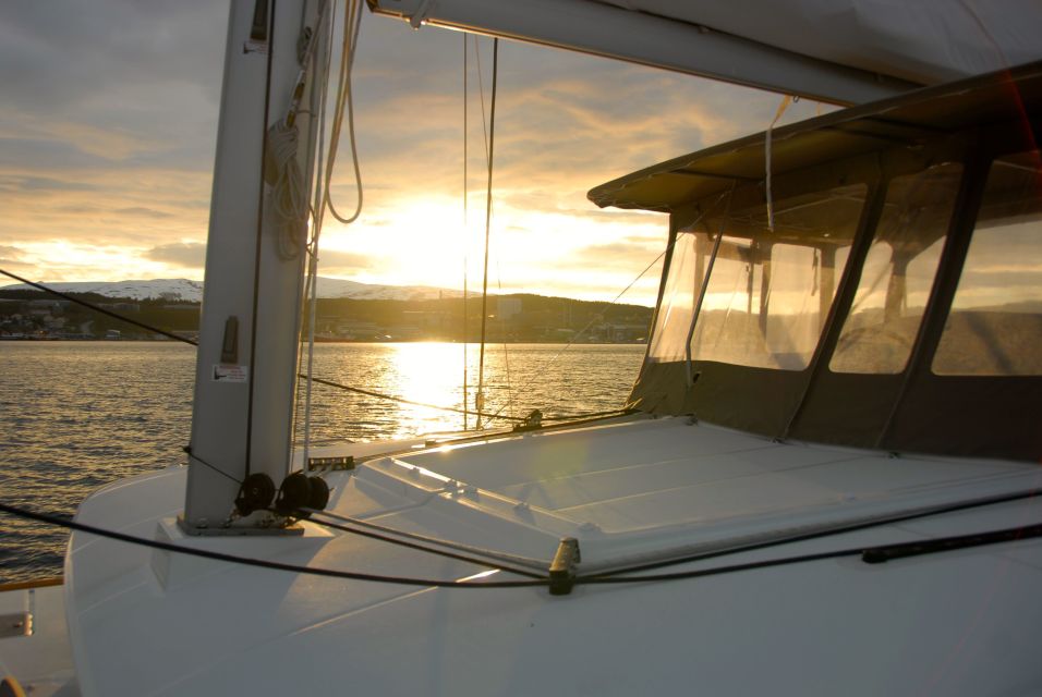 Tromsø: Midnight Sun Cruise in a Luxury Catamaran - Frequently Asked Questions