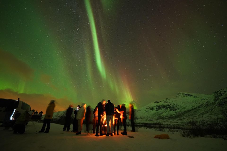 Tromsø: Northern Lights Tour With Free Professional Portrait - Booking Details