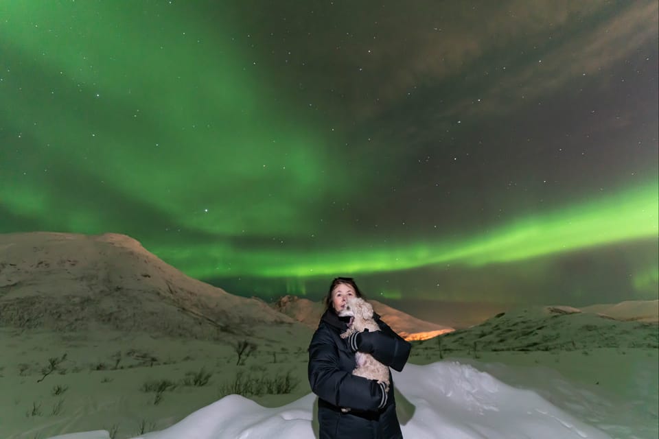 Tromsø: Northern Lights Tour With Photos and Warm Suits - Booking Your Adventure