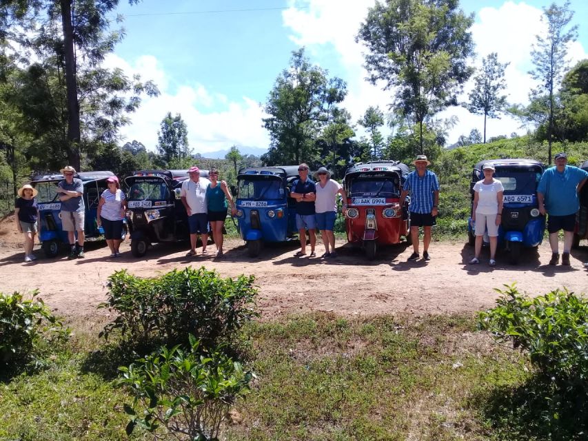 Tuk-Tuk Safari Liptons Seat,Tea Fields Hike,Teafactory Tour - Tea Factory Tour