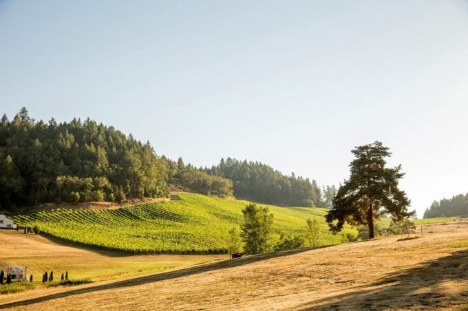 Umpqua Valley, OR: Digital Wine Tasting Pass - Helpful Tips
