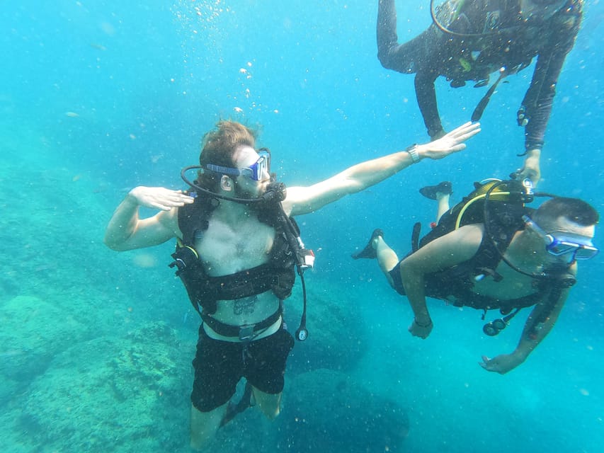 Unforgettable Diving Experience: From Beginners to Advanced - Customer Feedback and Ratings