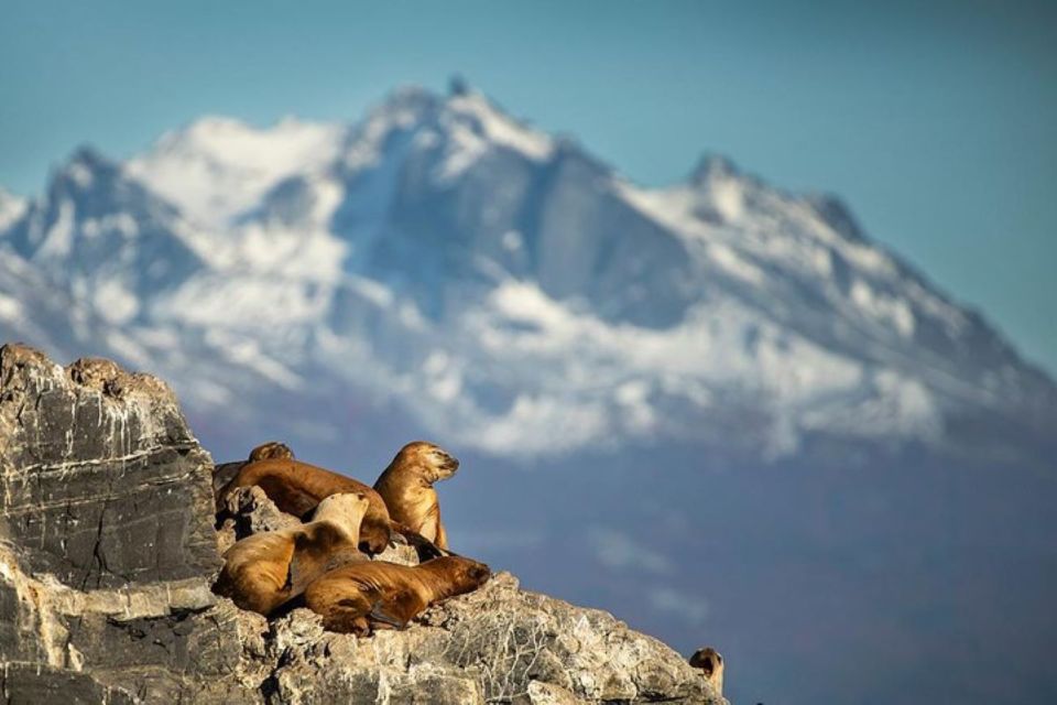 Ushuaia: Beagle Channel, Seal Island & Bridges Islands Tour - Scenic Views Along the Journey