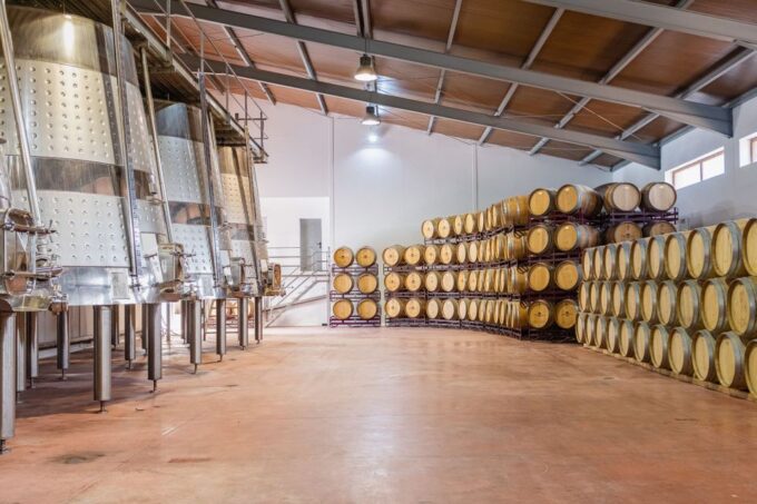 Valencia: Winery Visit With Vineyard Tour & Wine Tasting - Customer Feedback and Ratings
