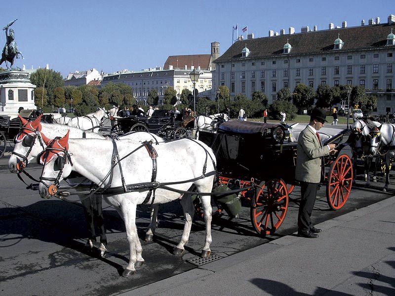 Vienna: Mozart Concert With Dinner and Carriage Ride - Frequently Asked Questions