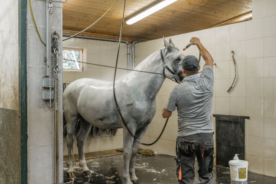 Vienna: Secrets of the Fiaker & Horse-Drawn Carriage Ride - Tips for Booking Your Tour