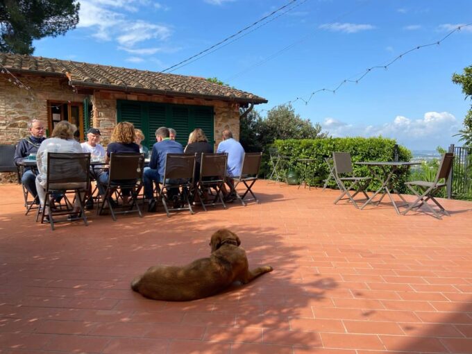 Vinci: Homemade Dinner and Oil Tasting Tour in a Tuscan Farm - Exploring the Olive Groves
