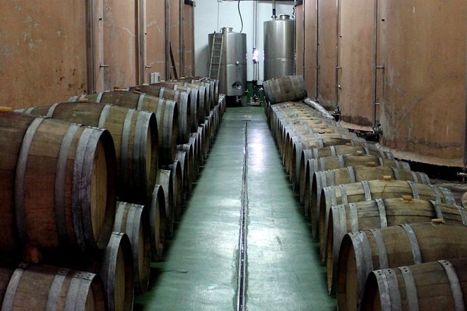 Visit Bodegas Teneguía Winery in La Palma With Wine Tasting - Traveler Reviews and Feedback