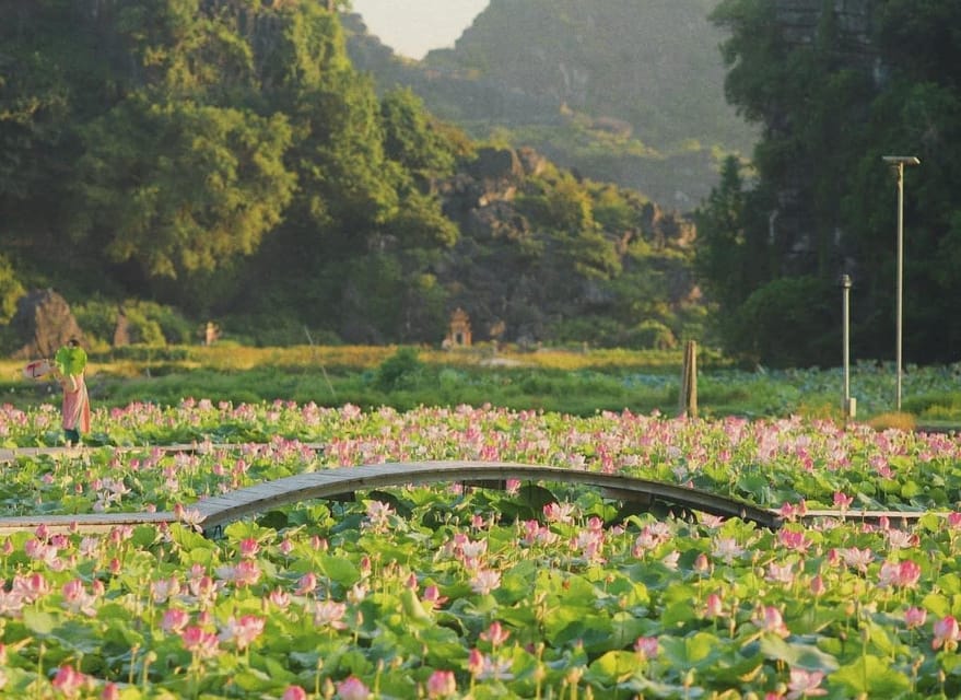 Visit Famous Spots And Admire Birds In Ninh Binh For 2 Days - Important Booking Information