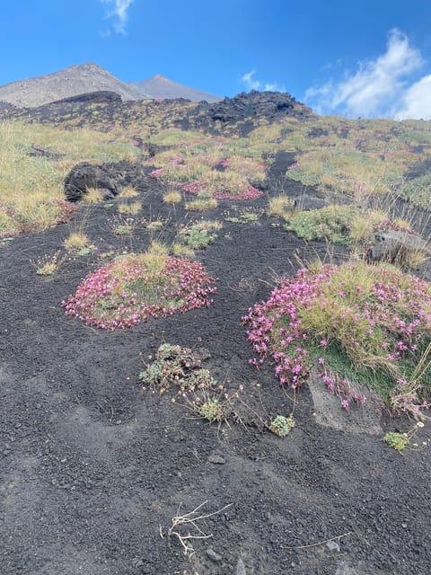 Volcano Etna: Private Walking Tour - Booking Information