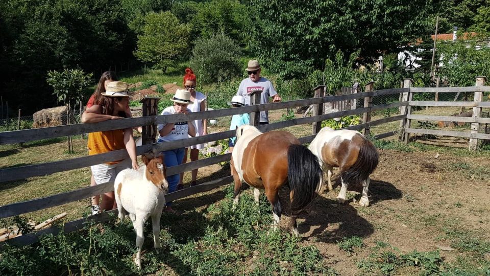 Volos: Cook Like a Local at a Greek Farm - Frequently Asked Questions