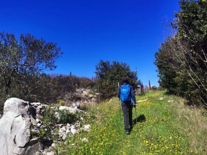 Walking Through Ancient Konavle Villages With a Tasty Finish - Cancellation Policy