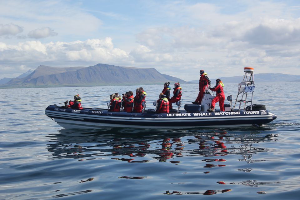 Whale Watching in Reykjavik by Speedboat - Local Attractions to Explore