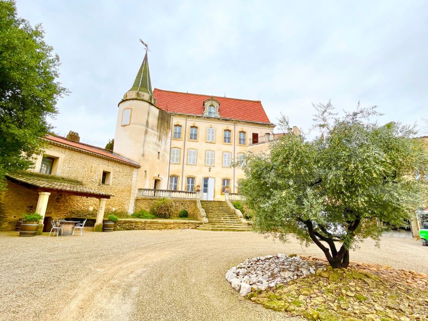 Wine Tasting in Châteauneuf Du Pape - Tips for a Great Experience