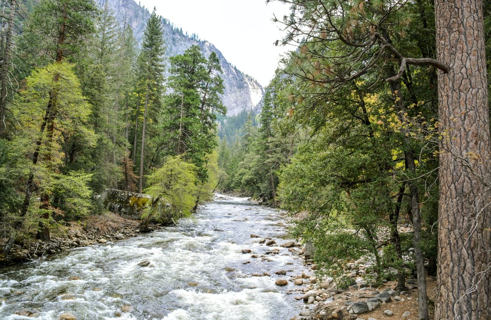 Yosemite Adventure: Full-Day Private Tour From San Francisco - Frequently Asked Questions