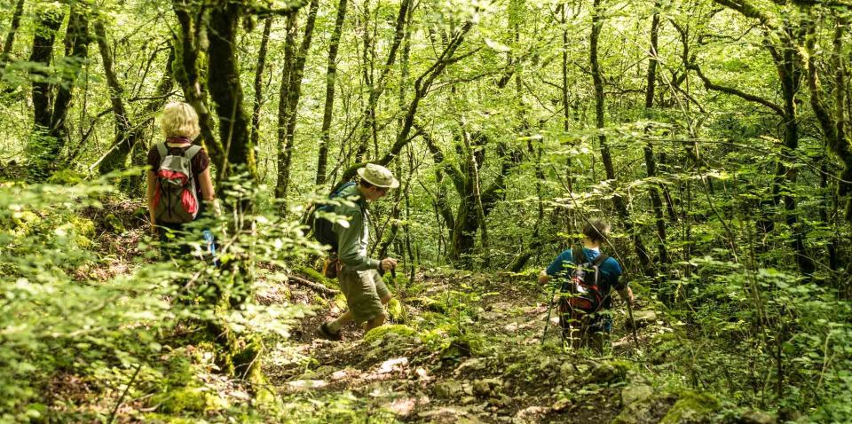 Zagori: Vikos Gorge Full-Day Guided Hike - Frequently Asked Questions