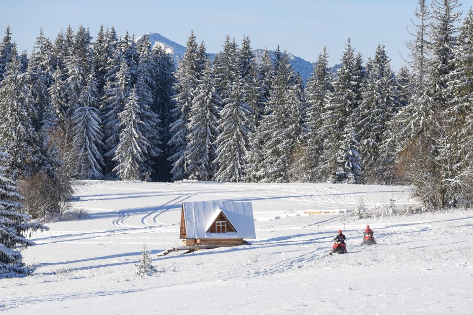 Zakopane: Snowmobiles Expedition and Optional Bonfire - Tips for an Enjoyable Adventure