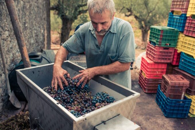 Zakynthos: Vineyard & Winery Tour With Local Winemaker - Frequently Asked Questions