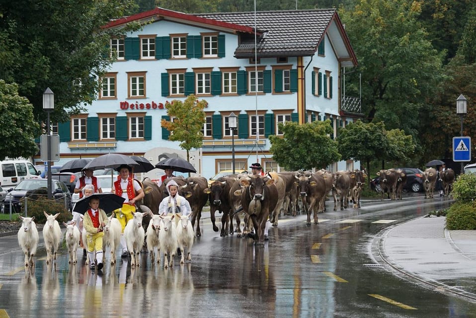 Zürich Car Tour: Appenzell, Ebenalp, St. Gallen - Recommendations for Visitors