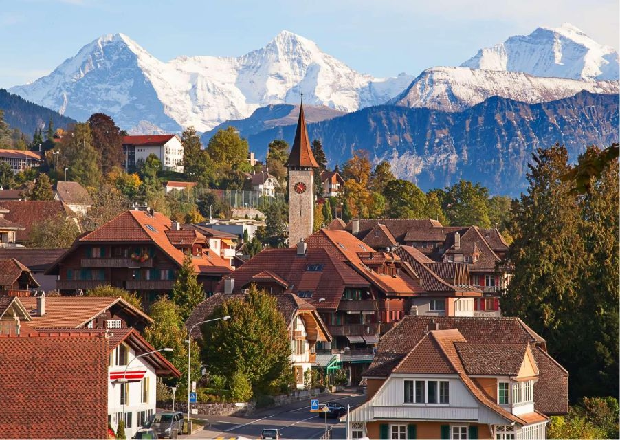 Zürich: Private Car Tour to Swiss Capital, Castles & Lakes - Booking and Cancellation Policy