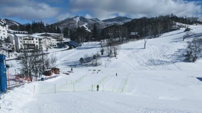 1 Day Tour: Snow Monkeys & Snow Fun in Shiga Kogen - Recap