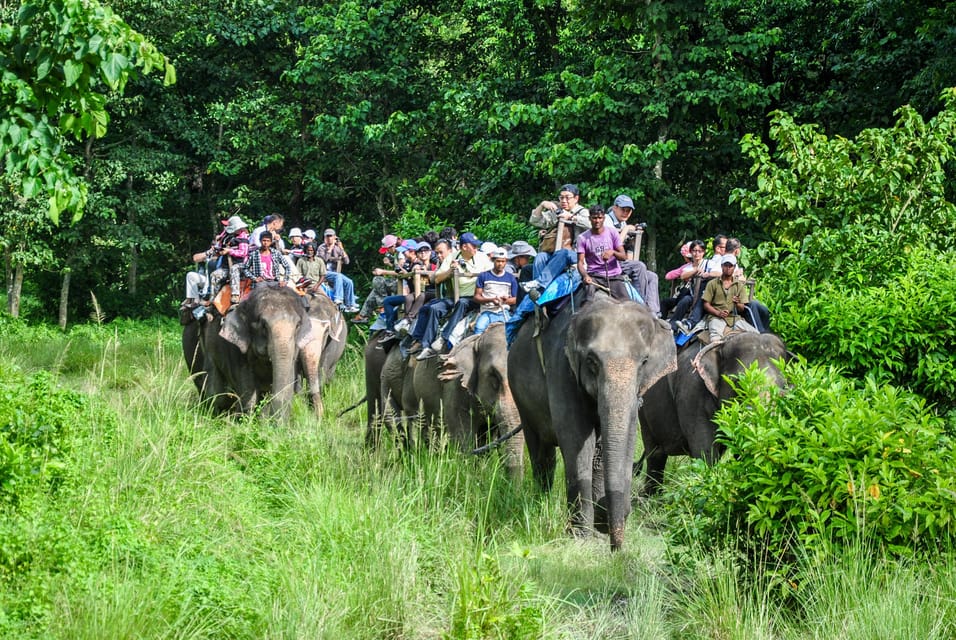 3-Day Chitwan National Park Jungle Safari Tour Kathmandu: - Frequently Asked Questions