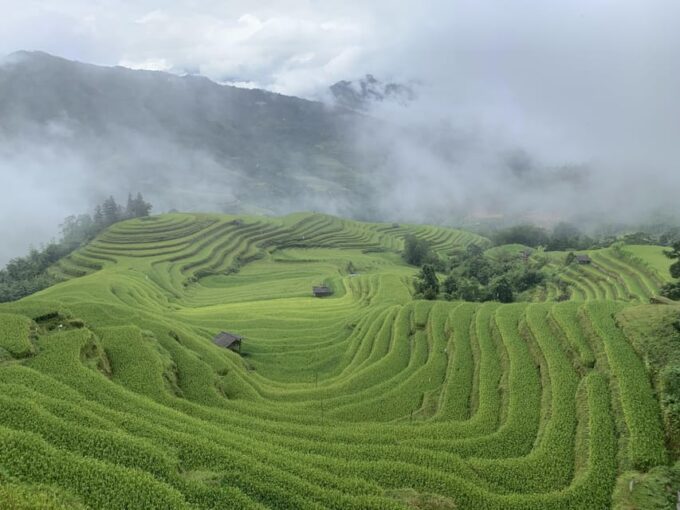 3-Day Ha Giang Loop Group Tour by Car, Motorbike & Easyrider - Frequently Asked Questions
