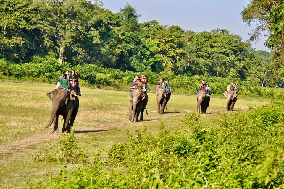 3 Days Chitwan Jungle Tour With Meals - Kathmandu & Pokhara - Frequently Asked Questions