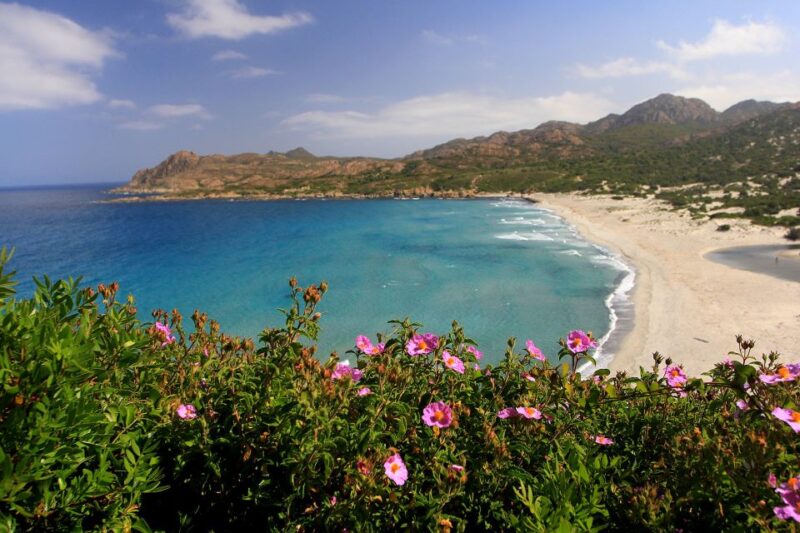 4x4 Agriates Desert and Beach Excursion From Calvi - Important Information
