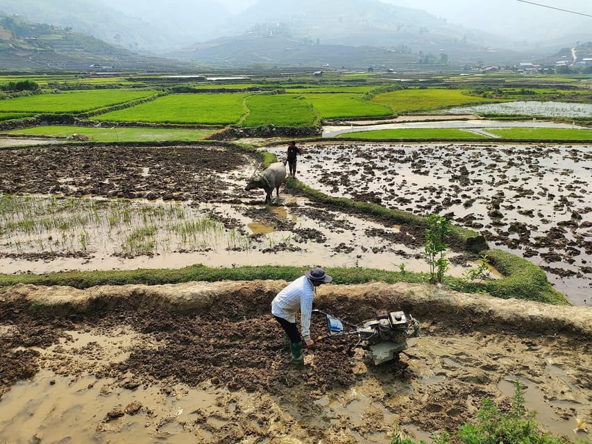 6-Days Sapa Trekking & Ha Giang Loop Motorbike Tour - Frequently Asked Questions