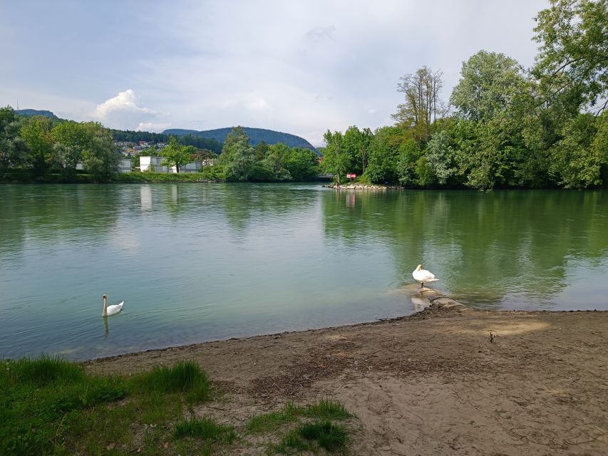 Aarau: Private Walking Tour With a Local Guide - Frequently Asked Questions